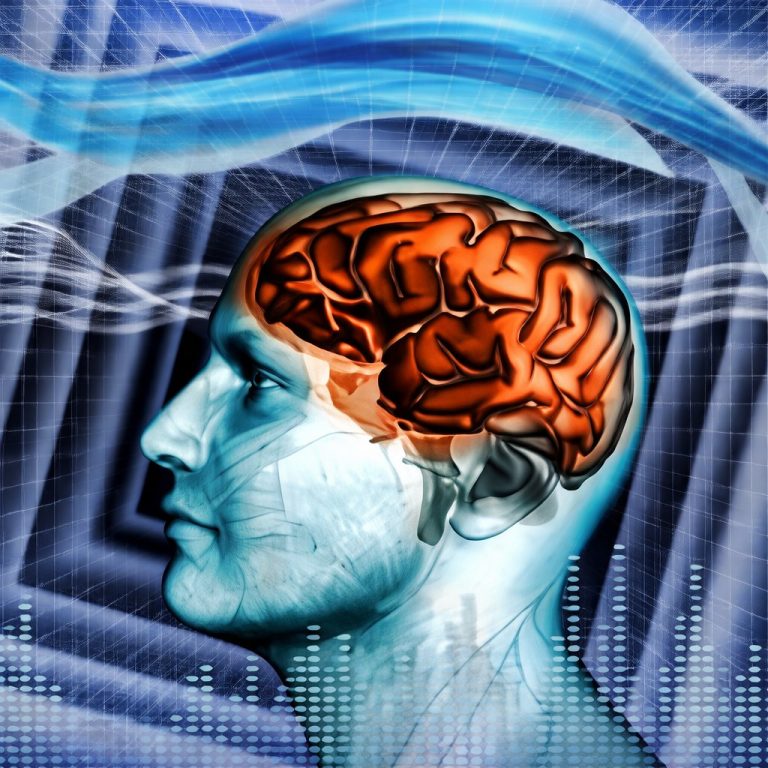 Usted y sus ondas cerebrales