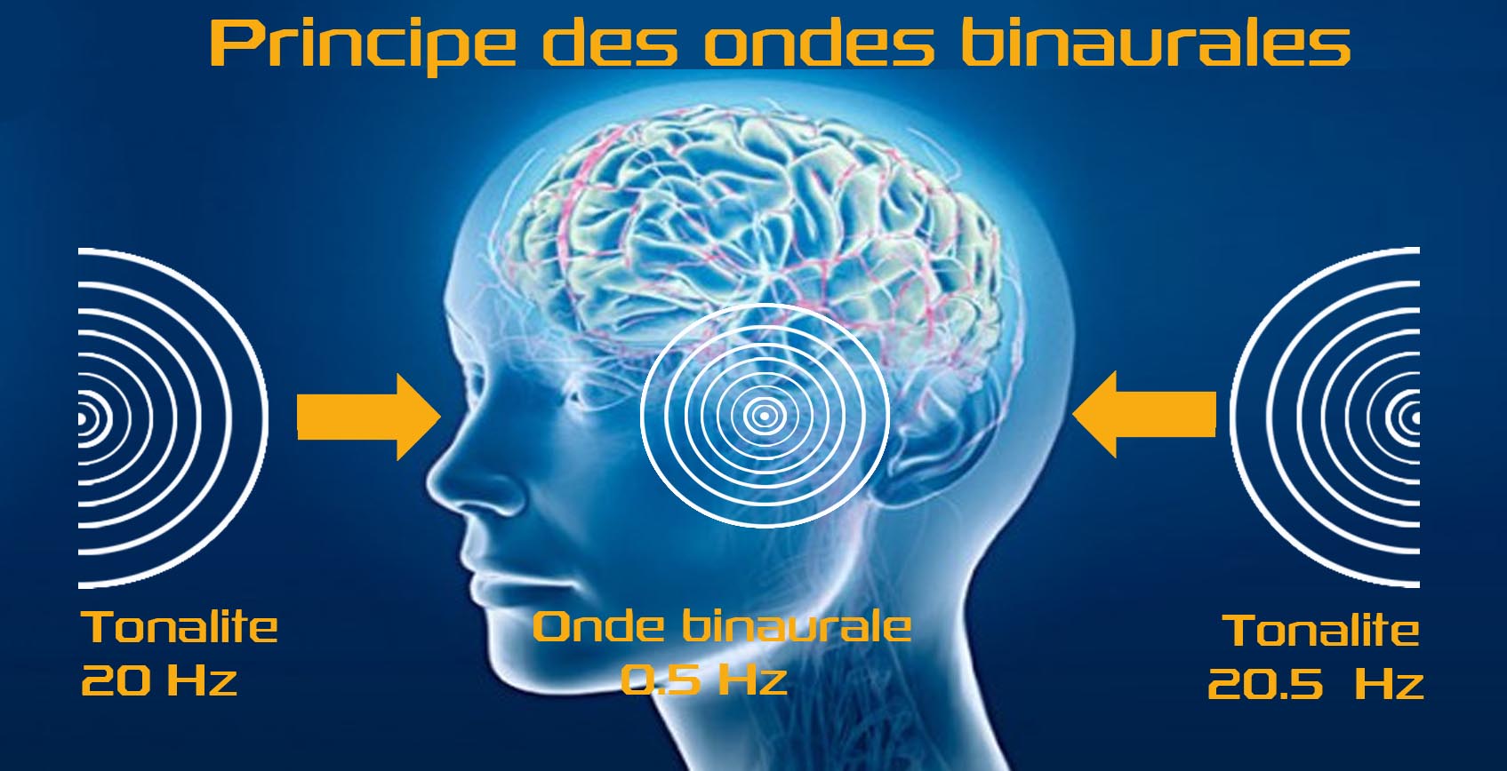 ondes binaurales