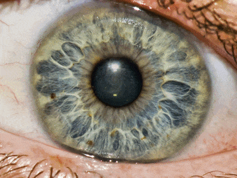 Galaxy eye