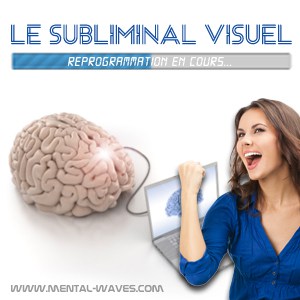 Sublimación visual para la reprogramación