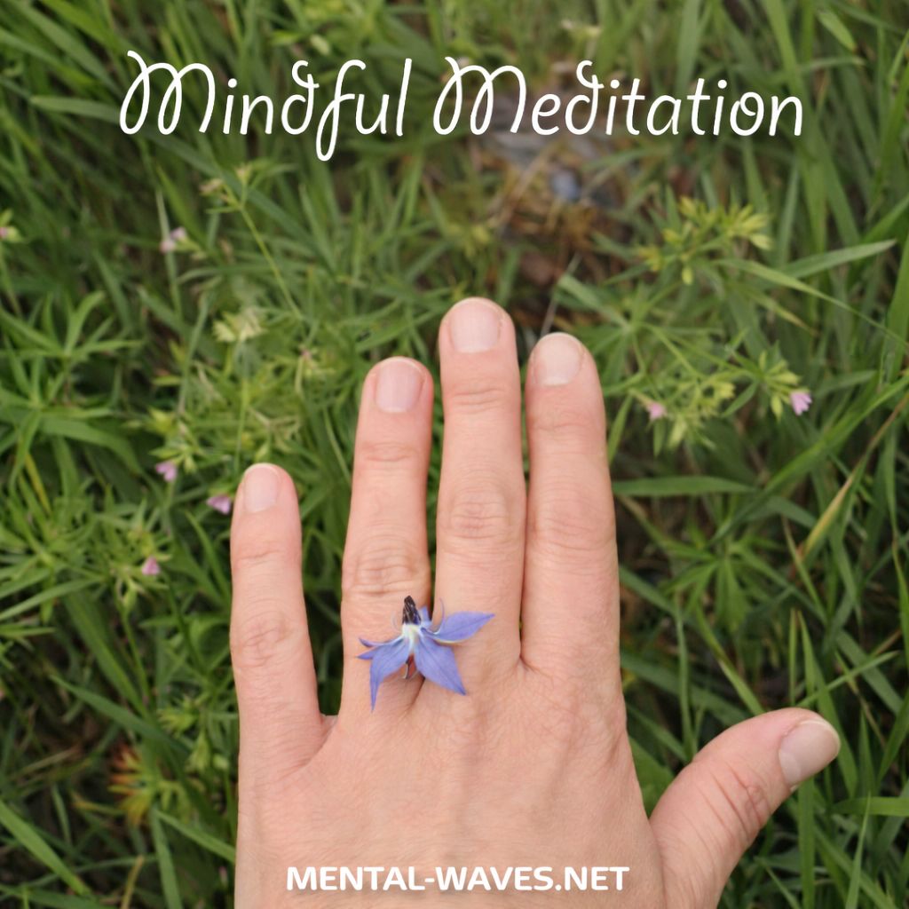 La Méditation attentive ou Vipassana