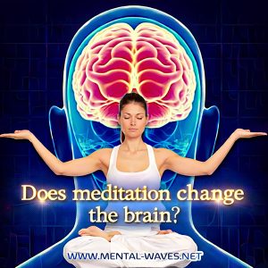 La méditation modifie-t-elle notre cerveau ?