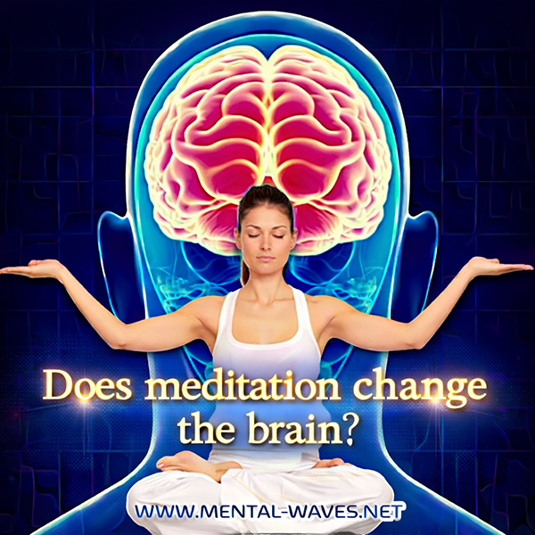 La méditation modifie-t-elle notre cerveau ?