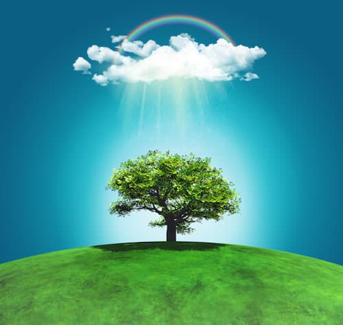 Les arbres qui soignent
