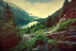 naturaleza