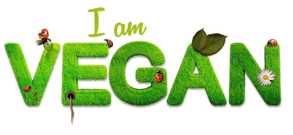 El veganismo y el despertar de la conciencia humana