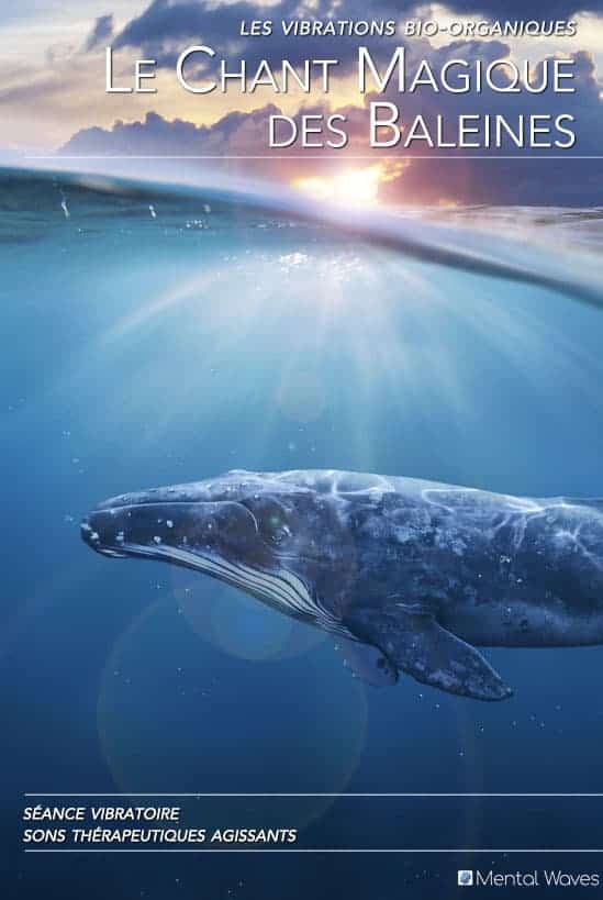 Magic Whale Song Therapeutic Frequencies