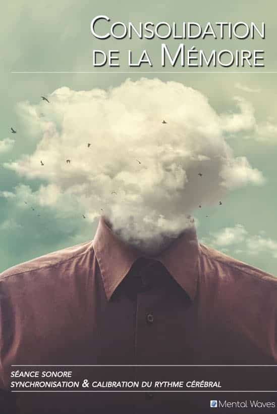 Memory Consolidation