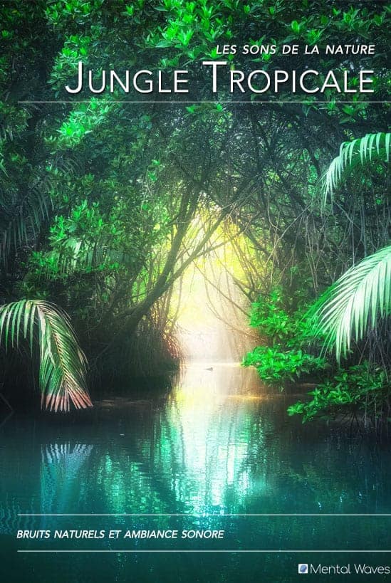 Tropical Jungle