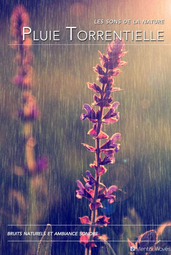 Torrential Rain