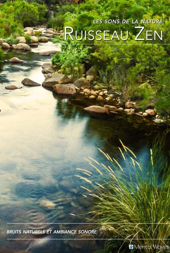 Zen Creek